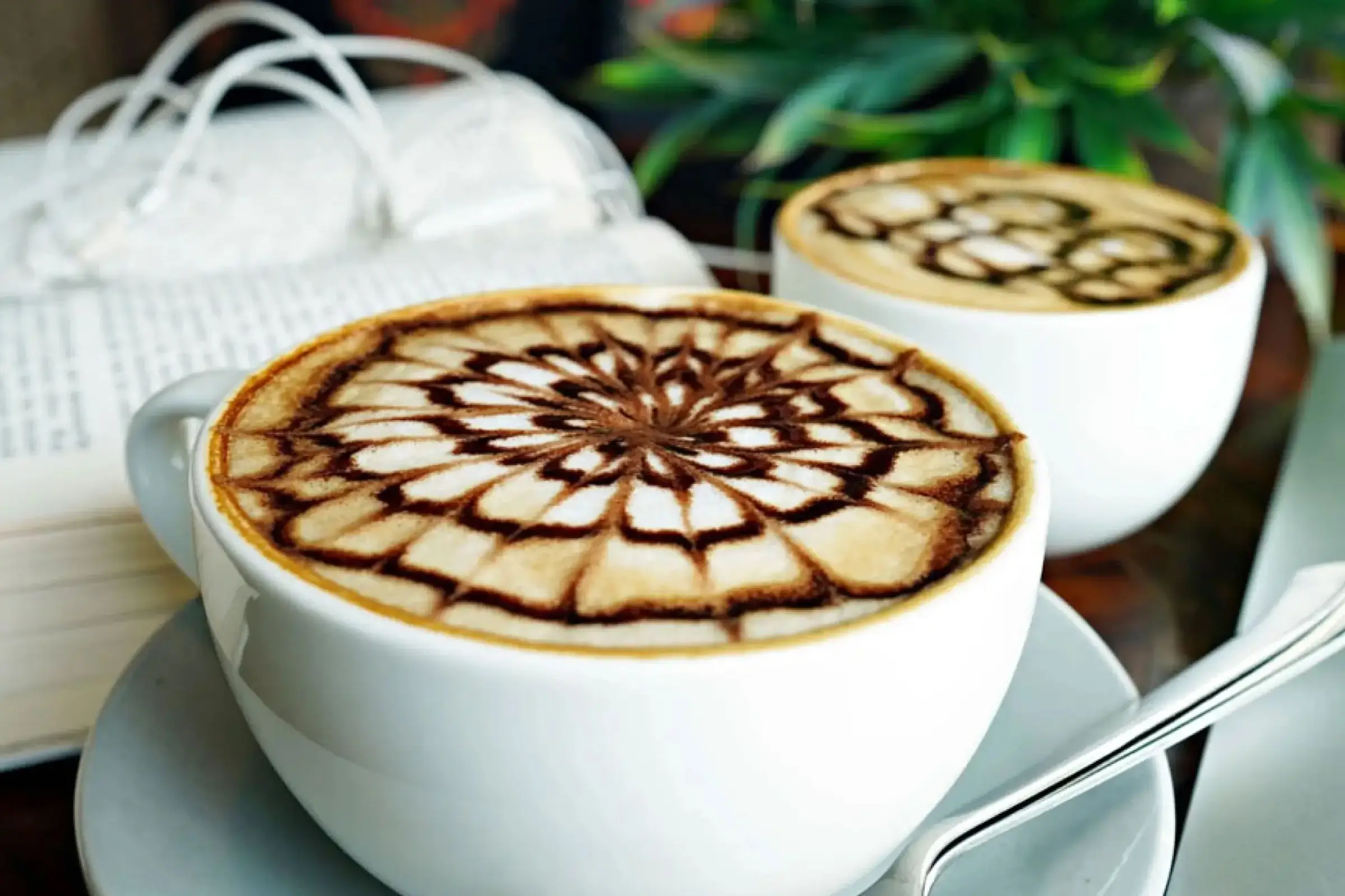 Blue Parrot Cafe - 10